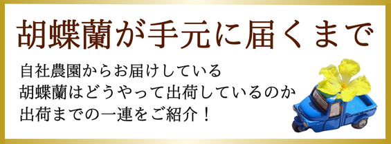 大きさ